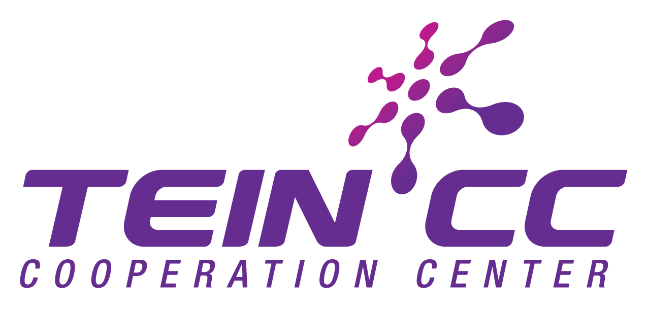 TEIN Logo